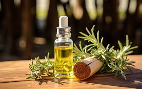 Rosemary Essential Oil for Canker Sore