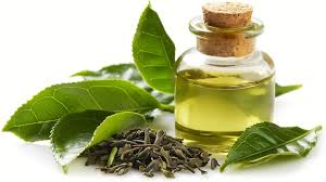 Tea Tree Oil for Canker Sores