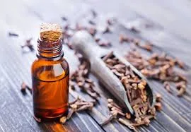 clove oil for tooth cavities